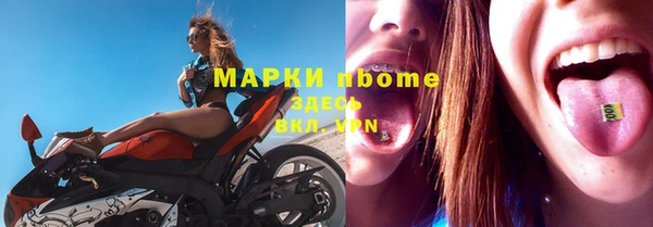 прущие грибы Козловка