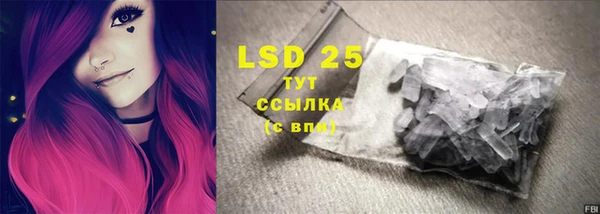 прущие грибы Козловка