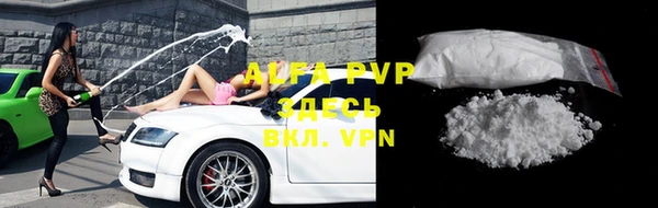 прущие грибы Козловка