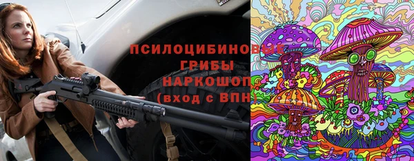 прущие грибы Козловка
