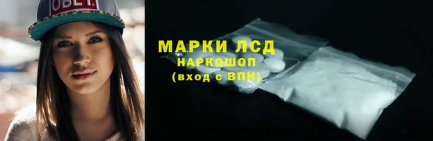 прущие грибы Козловка