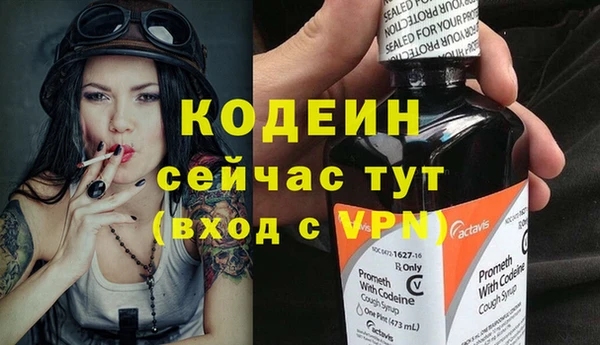 прущие грибы Козловка
