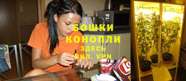 винт Кодинск