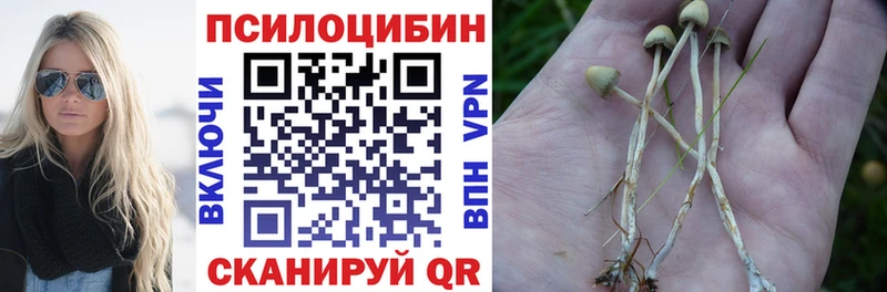 Галлюциногенные грибы Psilocybe  Купить  Сасово 